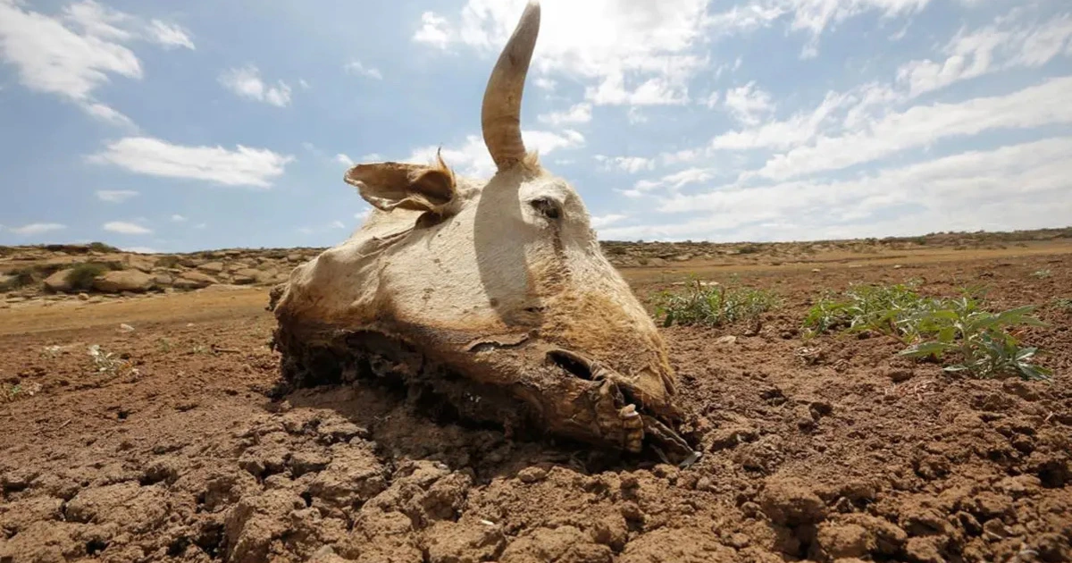 Effect of climate change, Africa