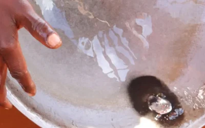 AfriMali Joins the UNEP Global Mercury Partnership.